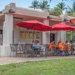 Beatles and Bob Dylan publisher hits Chapter 11 bankruptcy